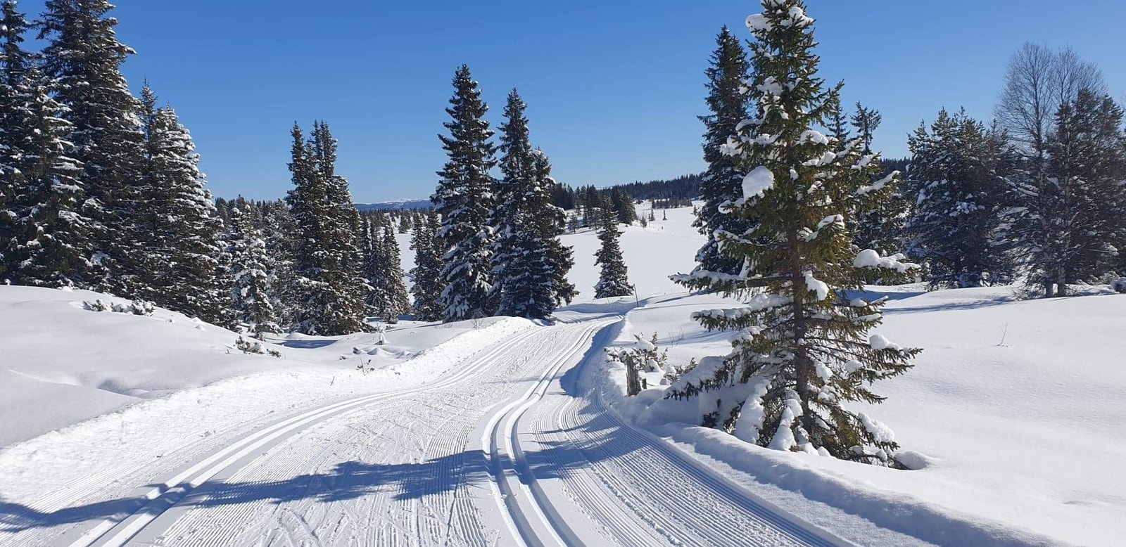 Vanvittig turterreng Galleribilde