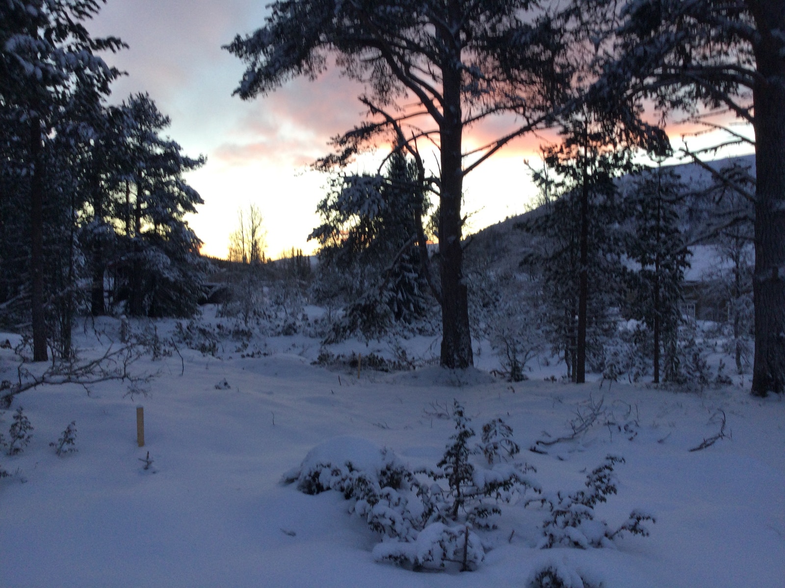 Fra disponible tomter Galleribilde