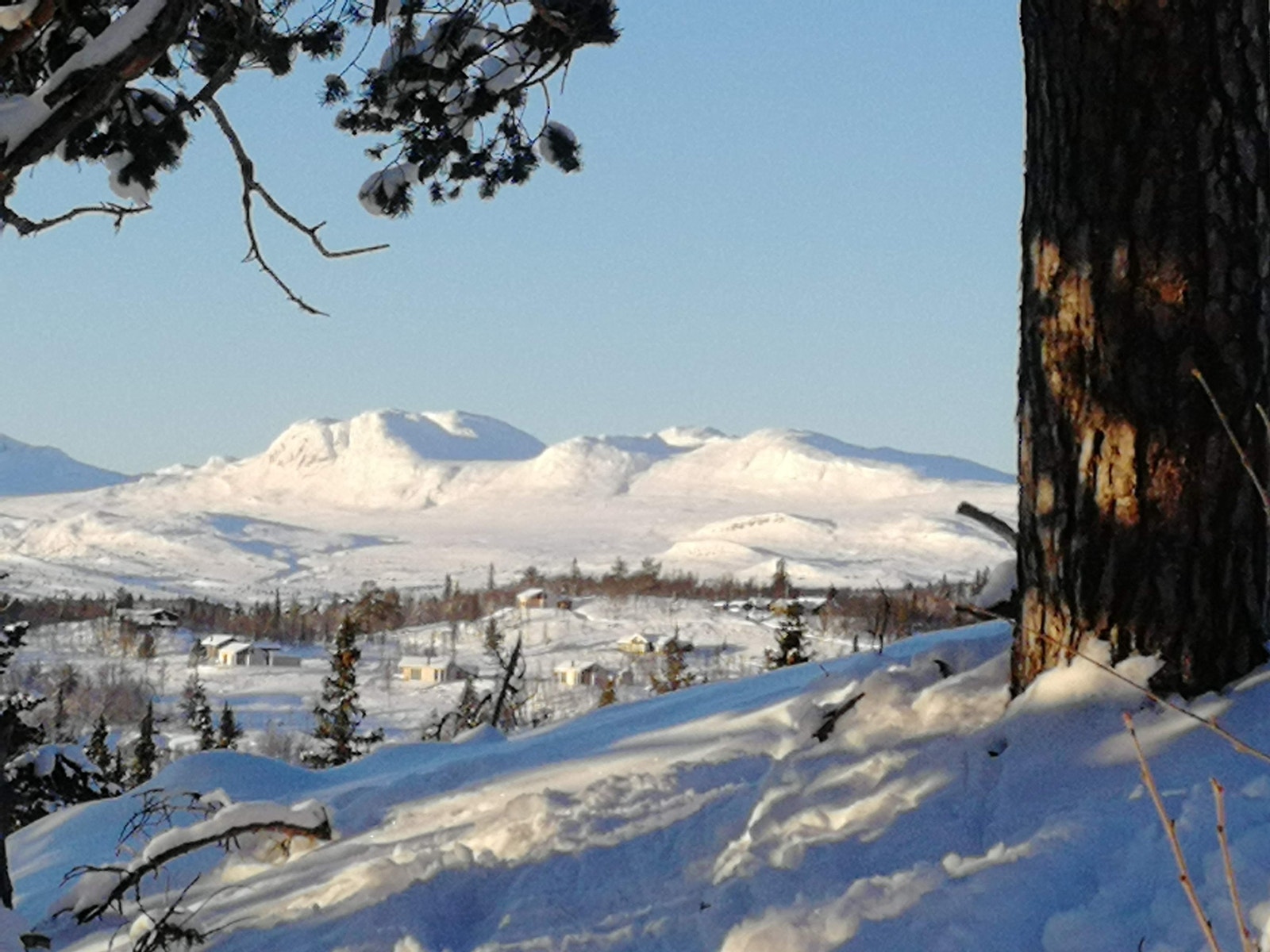 Snaufjellet bak hytta Galleribilde