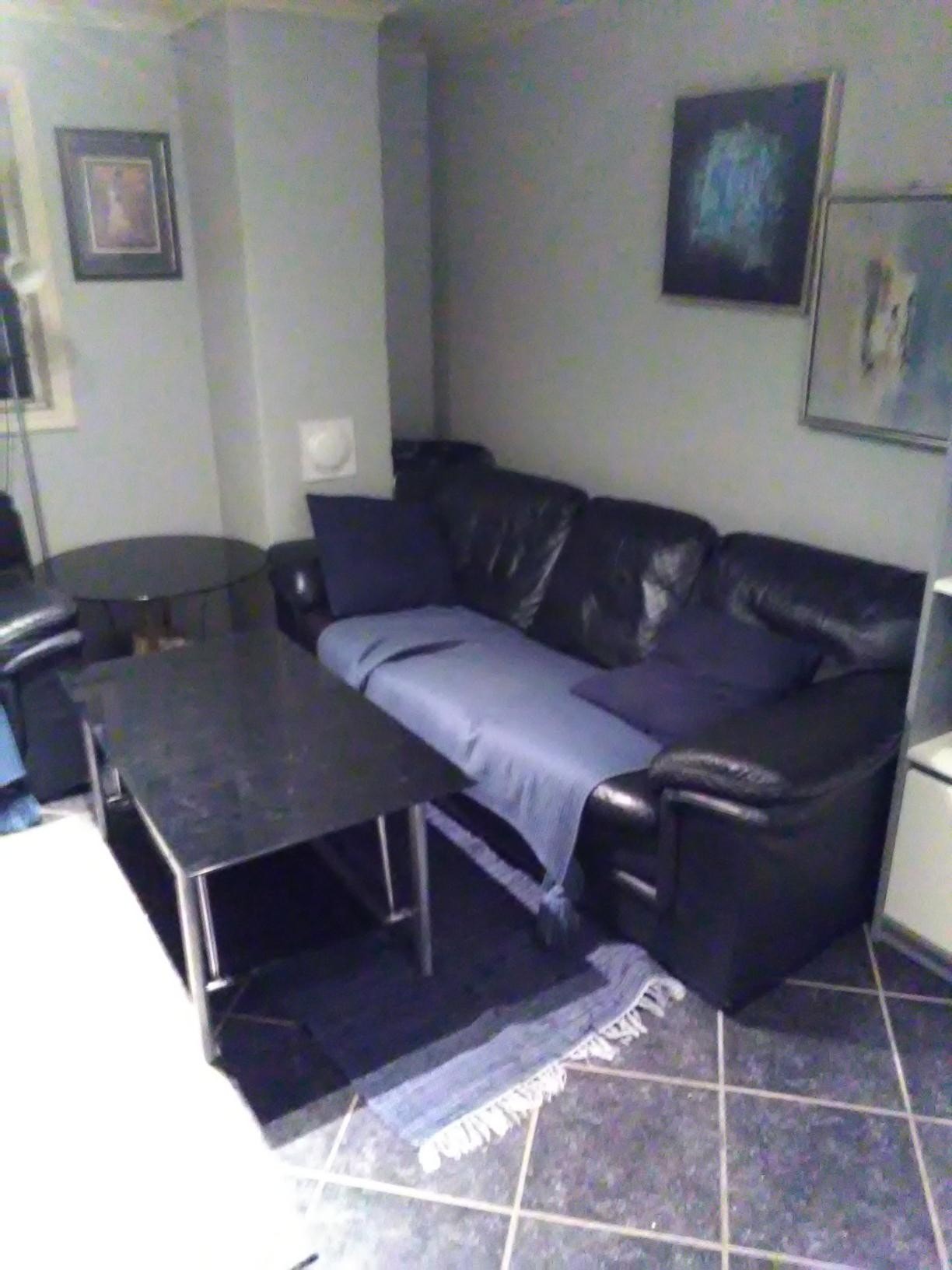 stue ,begge sofaene er hele i skinnet. Galleribilde