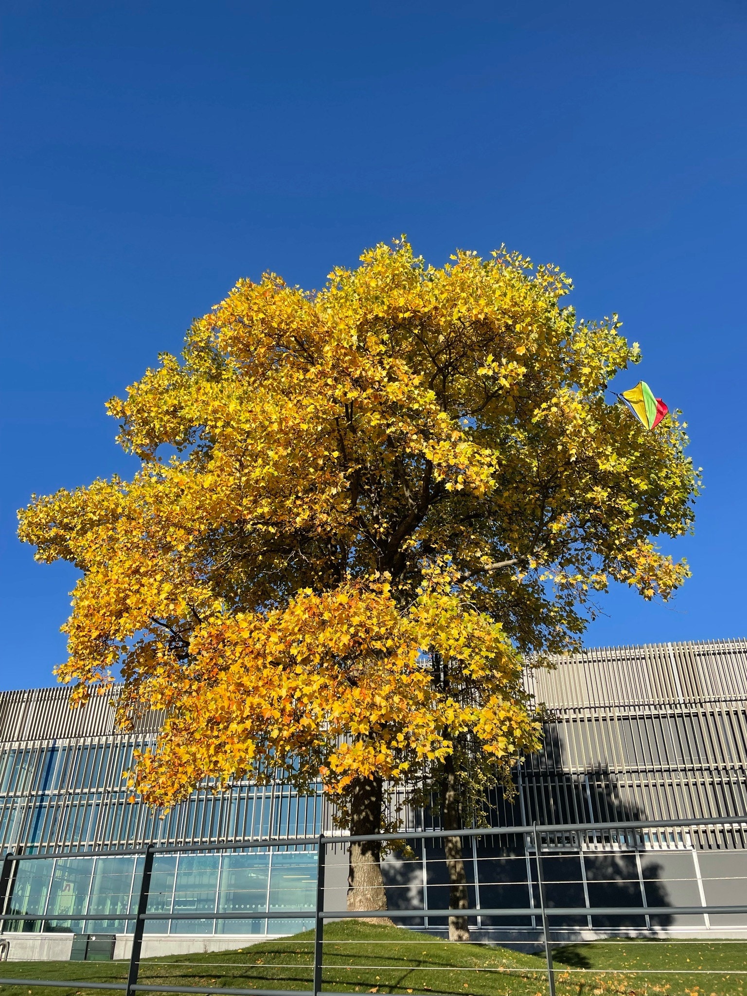På bystranda Galleribilde