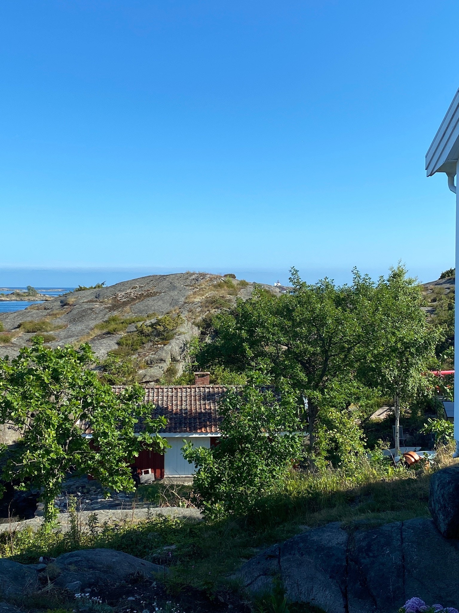 Båthus og drivhus Galleribilde