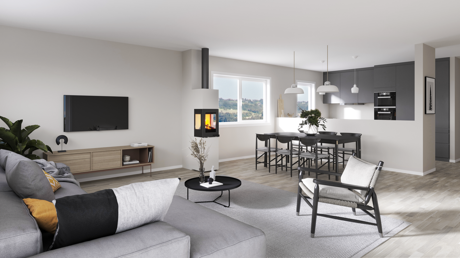 Peisovn i stue/kjøkken 1. etasje Galleribilde