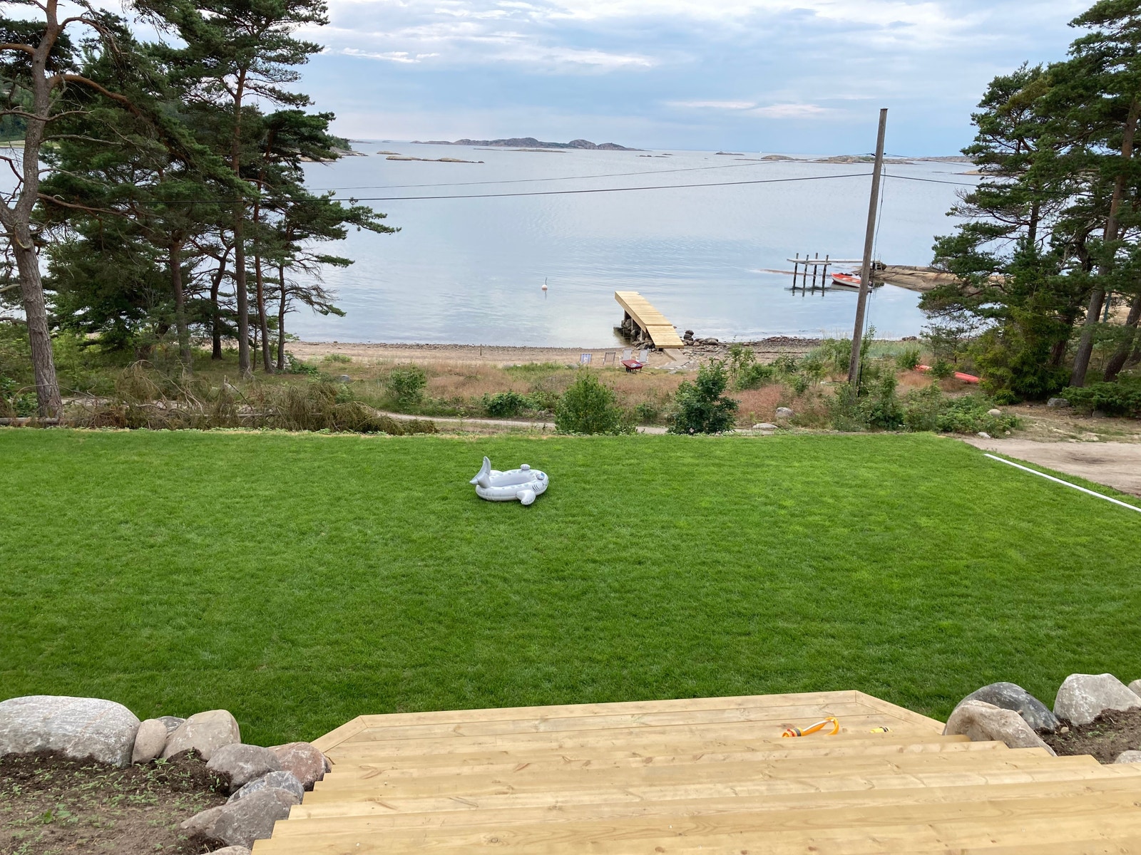 Nyanlagt gress Galleribilde