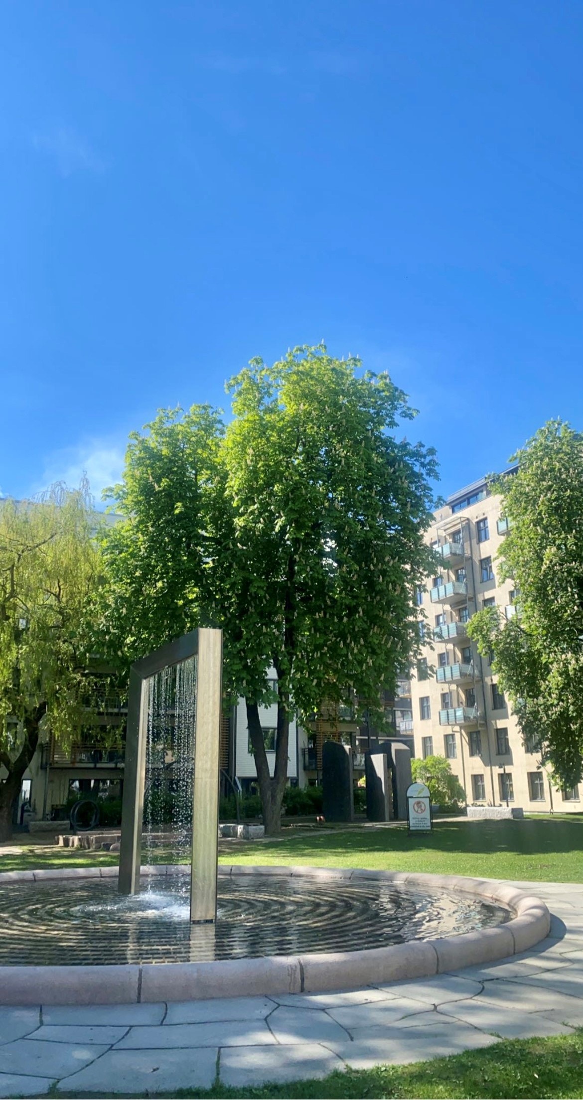 Bilde av fellesområdet sommer Galleribilde