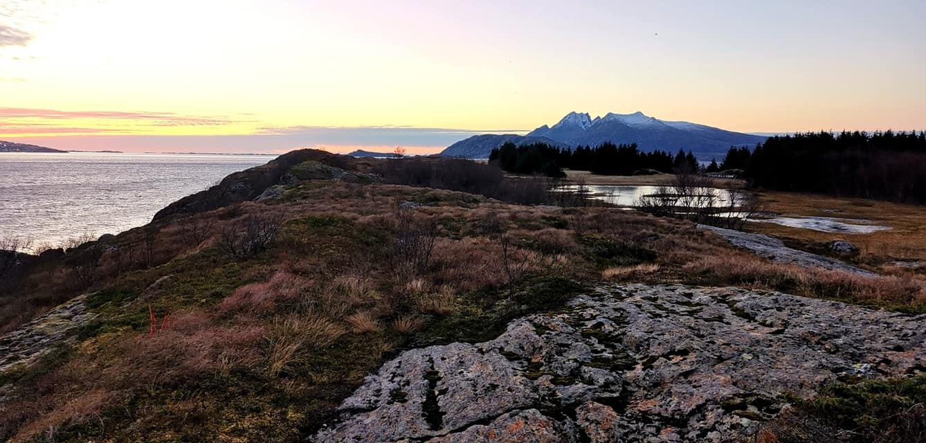 Dønnamannen i Bakgrunnen Galleribilde