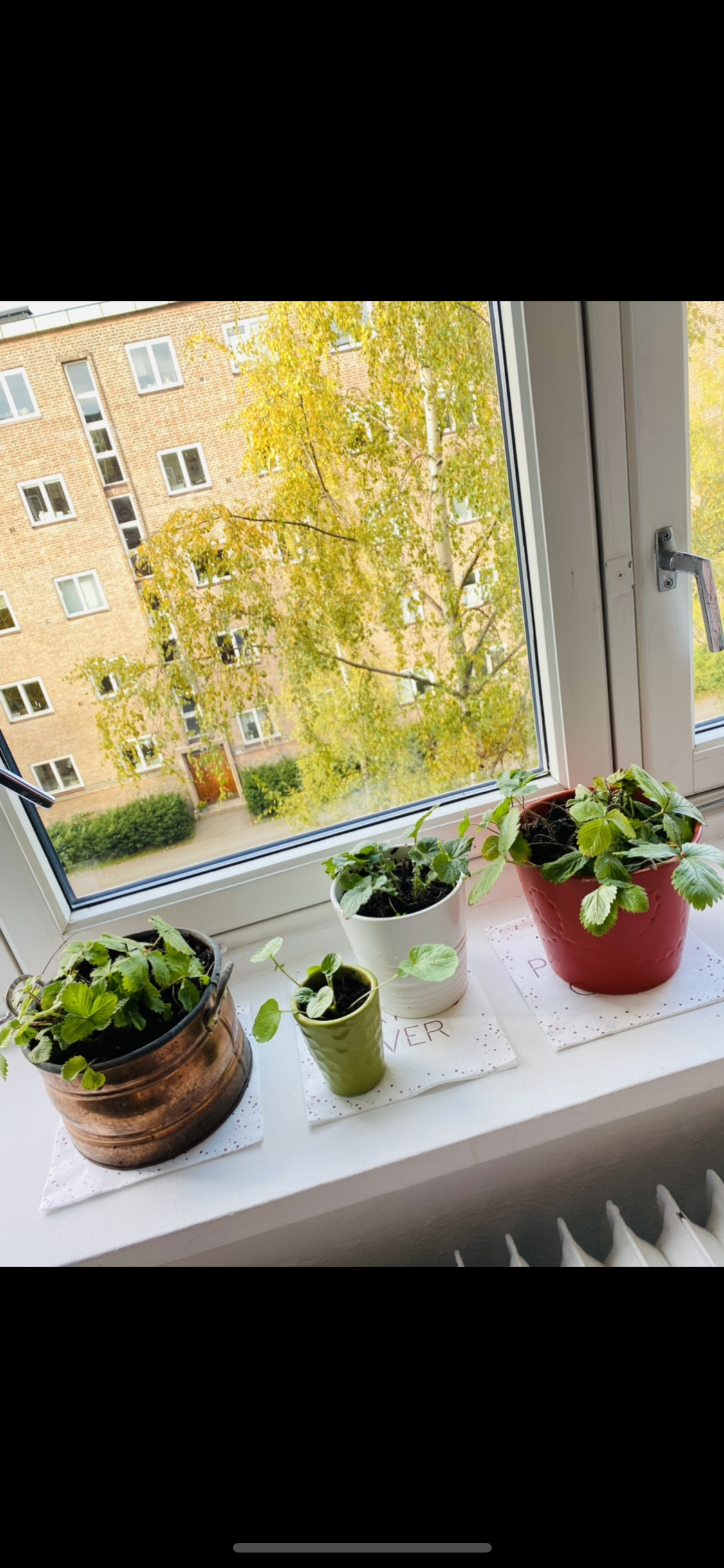 Utsikt fra soverom 1 Galleribilde