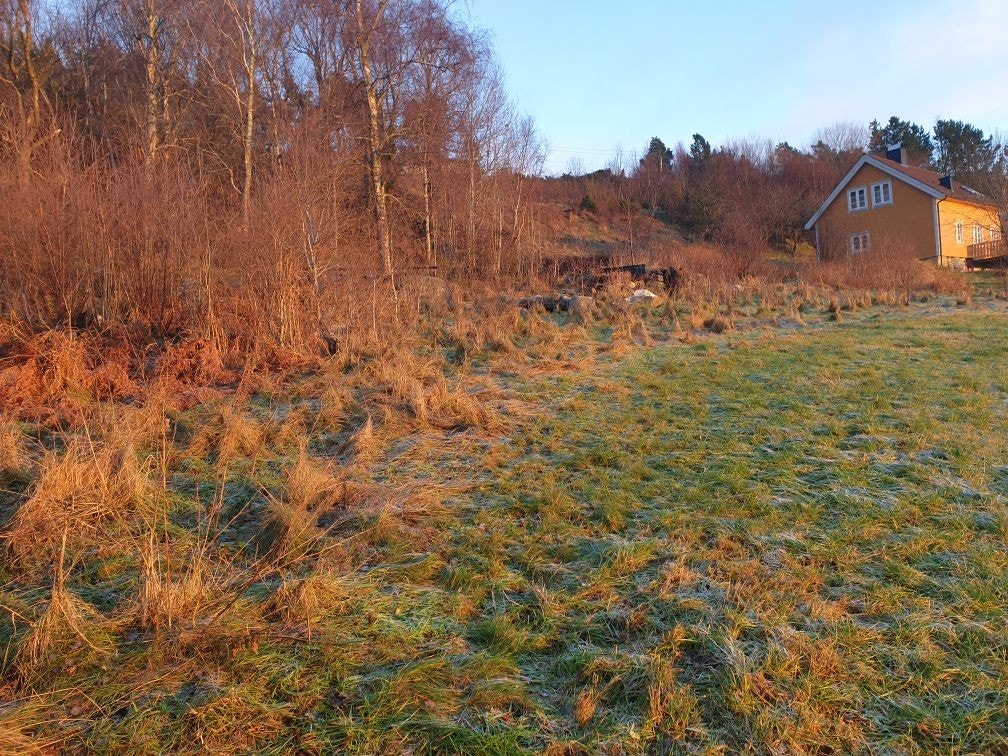 Mark foran tomt Galleribilde