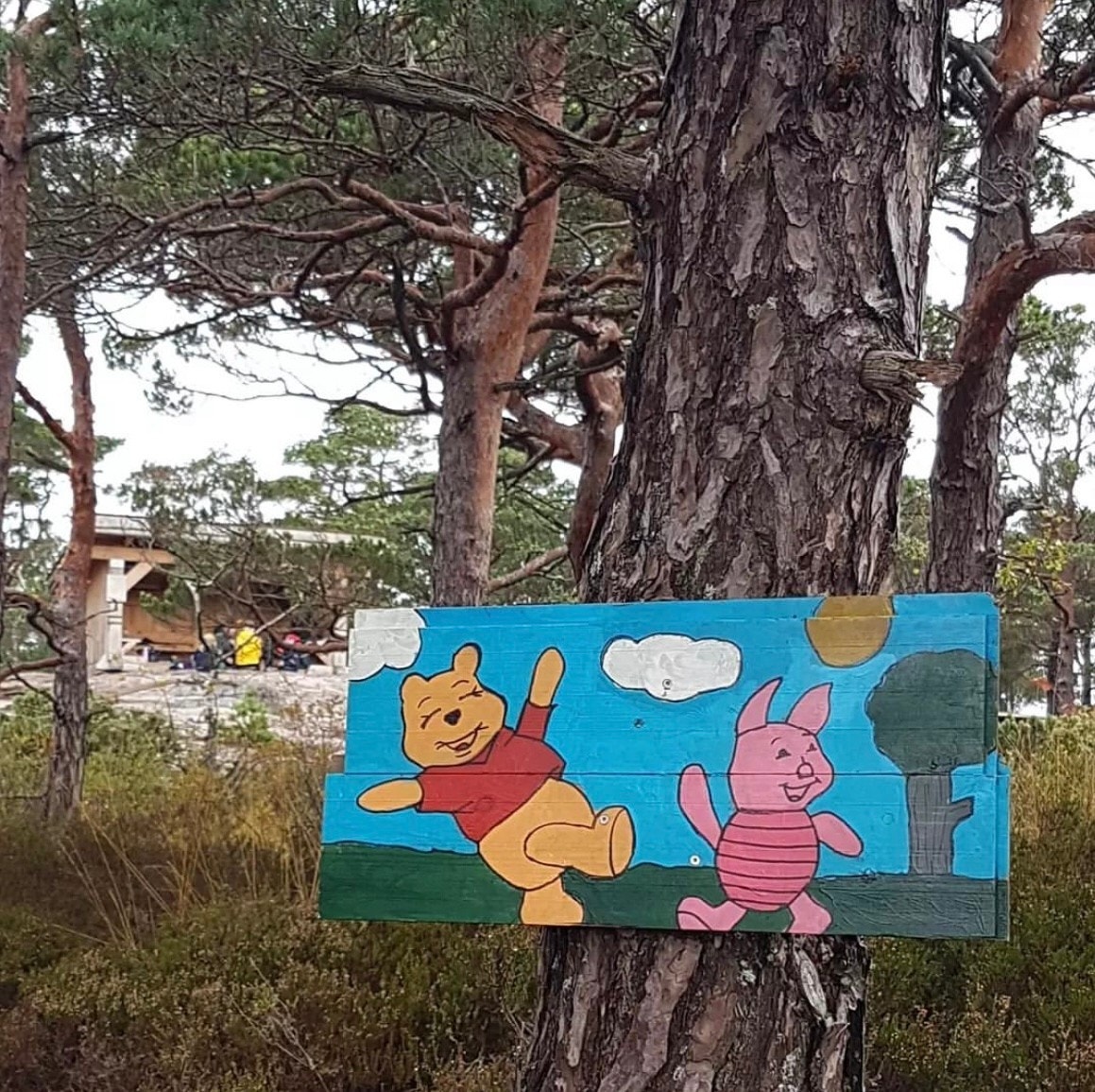 Tur område med masse spennende for barn. Galleribilde