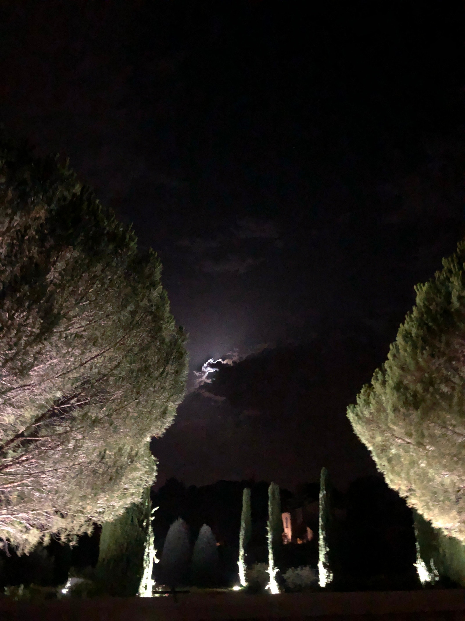 Kveld i Provence Galleribilde