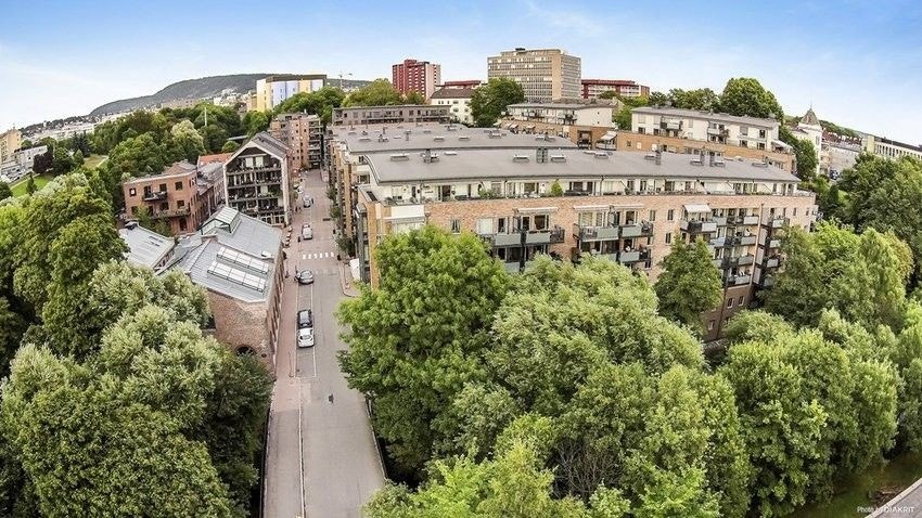 Oversikt over Lilleborg området Galleribilde