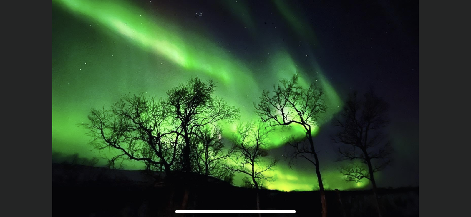 Nordlys i Nord Norge Galleribilde