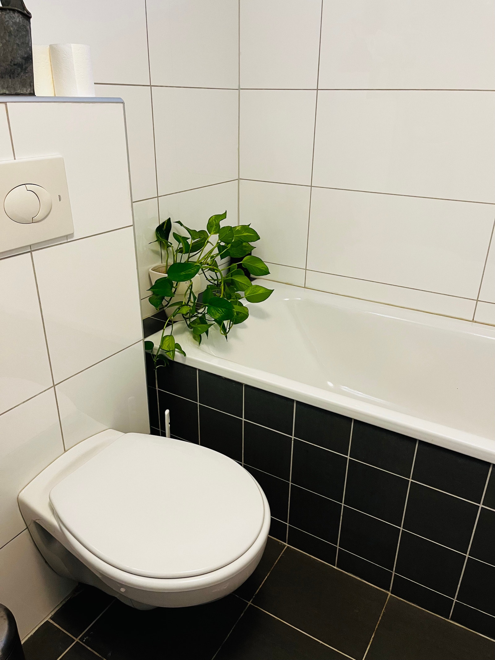 Toalett og badekar Galleribilde