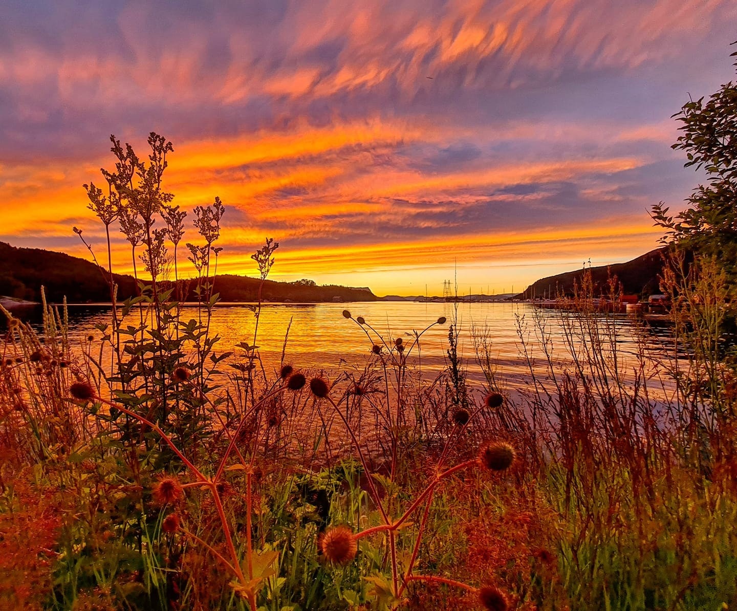 Husnes båthavn Galleribilde