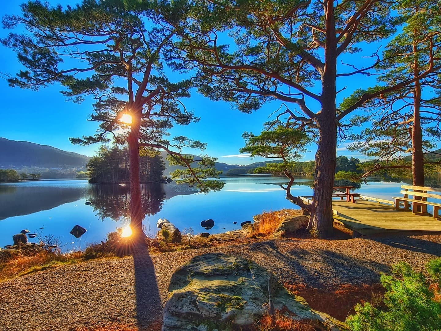 Husnesparken Galleribilde