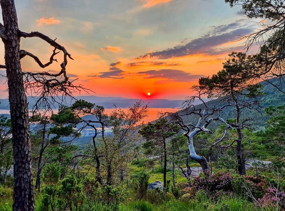 Bremstølen i solnedgang Galleribilde