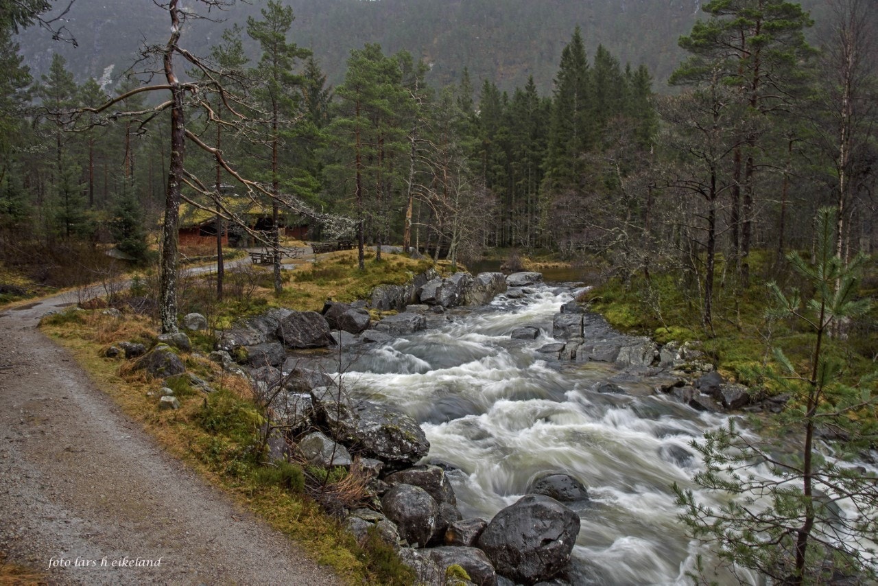 Handelandsdalen Galleribilde