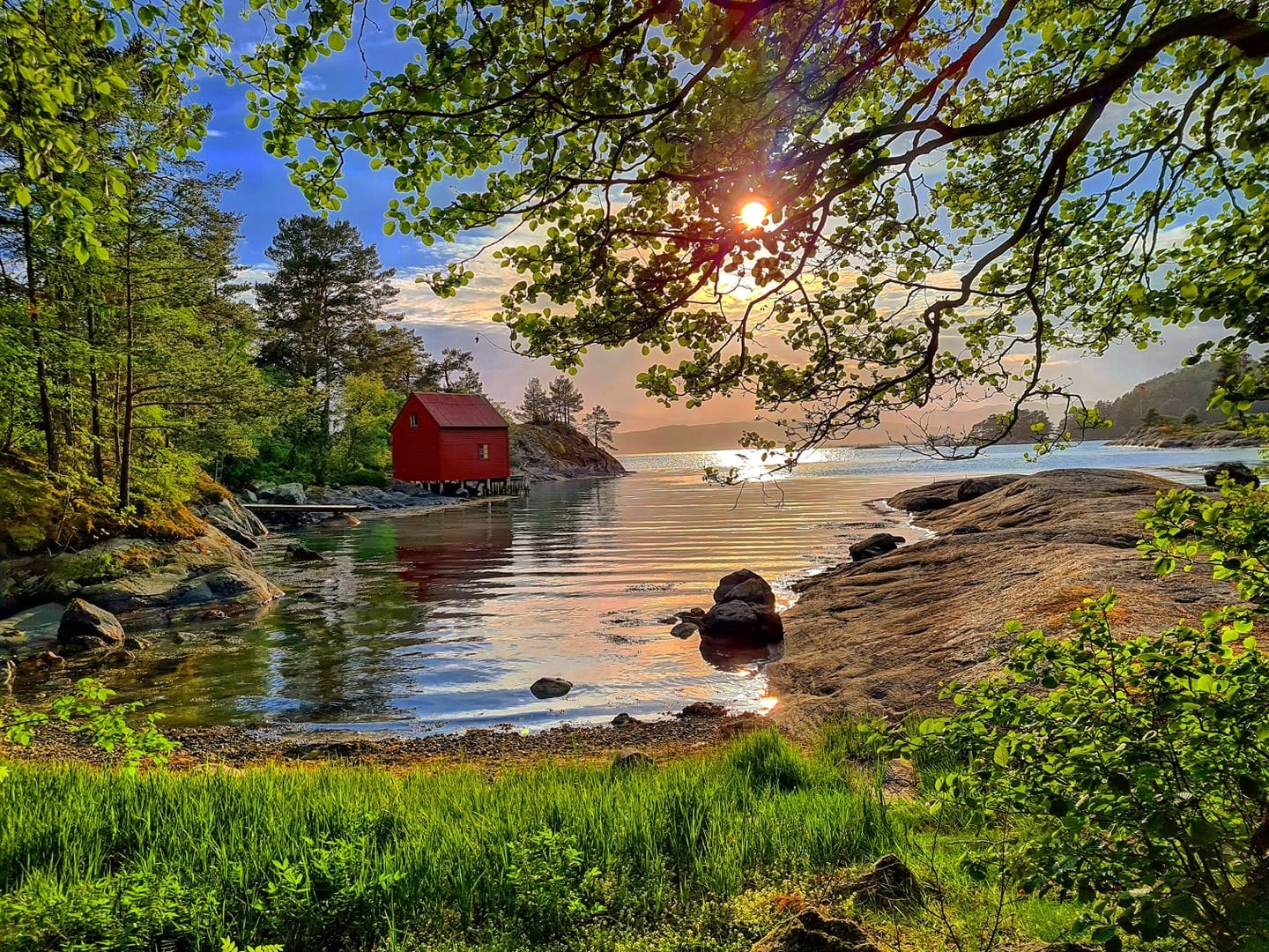 Bogsnes Husnes Galleribilde