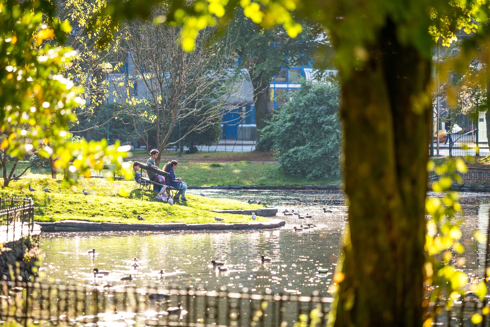Nygårdsparken. Galleribilde