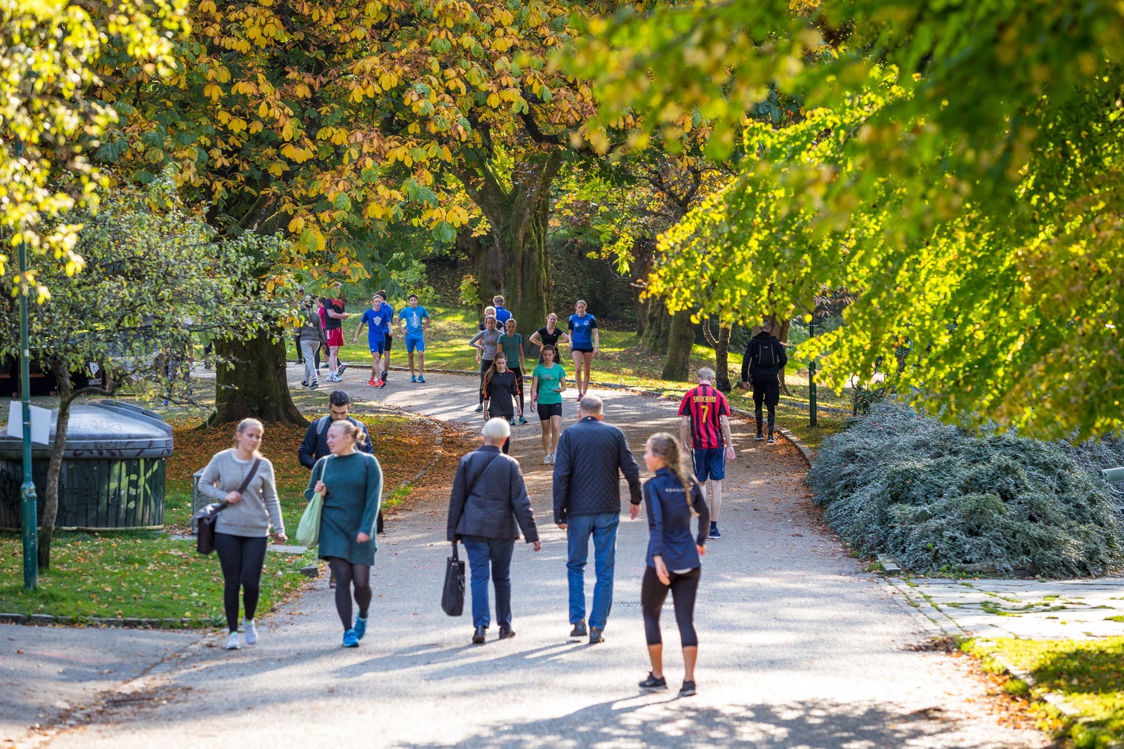Nygårdsparken. Galleribilde