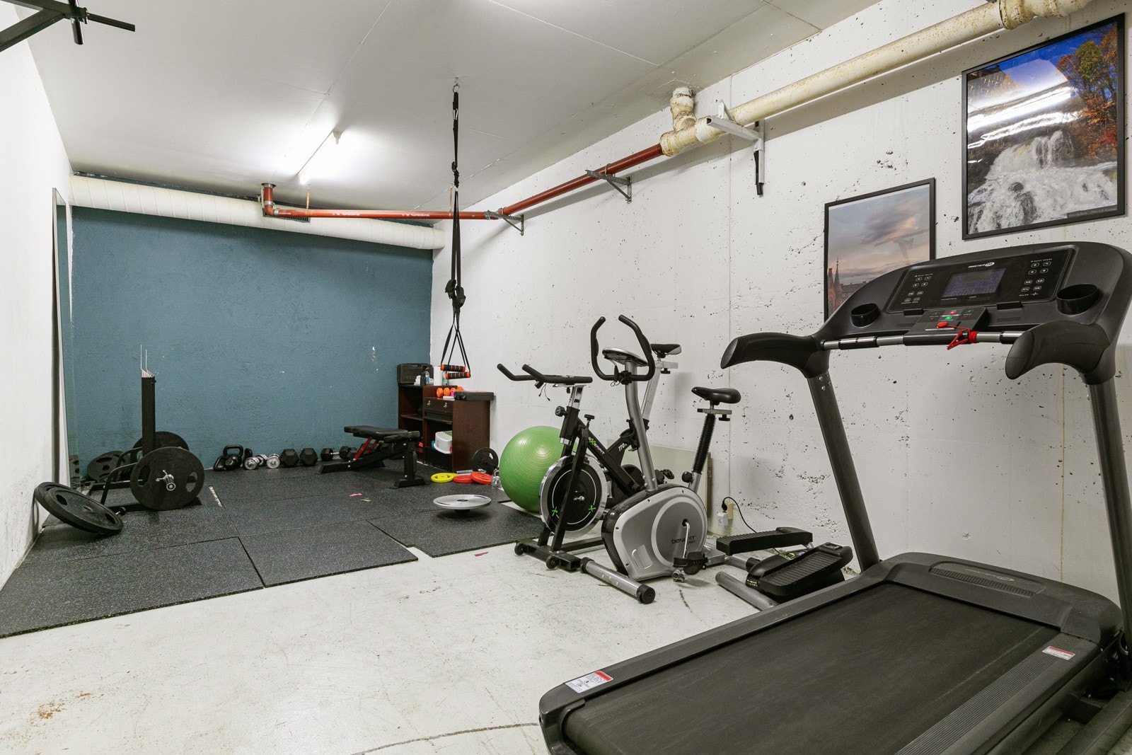 Felles trimrom Galleribilde