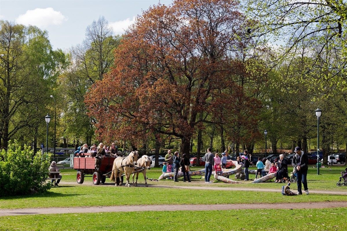 Nærområde Galleribilde
