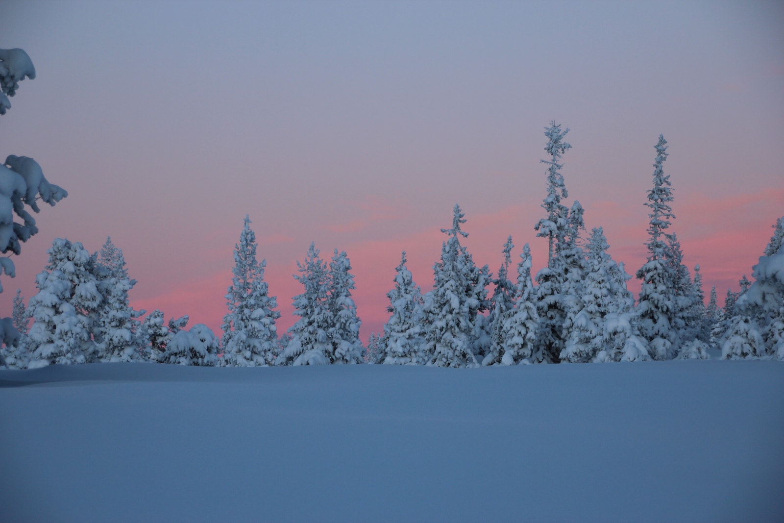 Eventyrland i hyttegrenda. Galleribilde