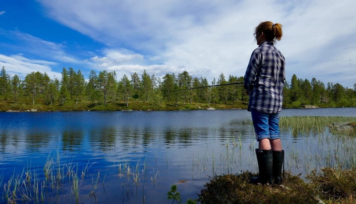 Mange fiskevann Galleribilde