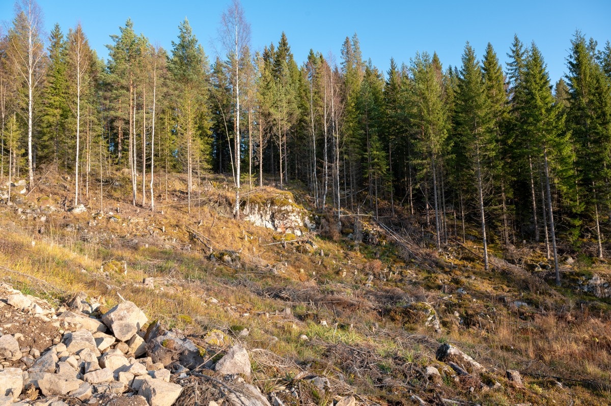 Tomt22-01 Galleribilde