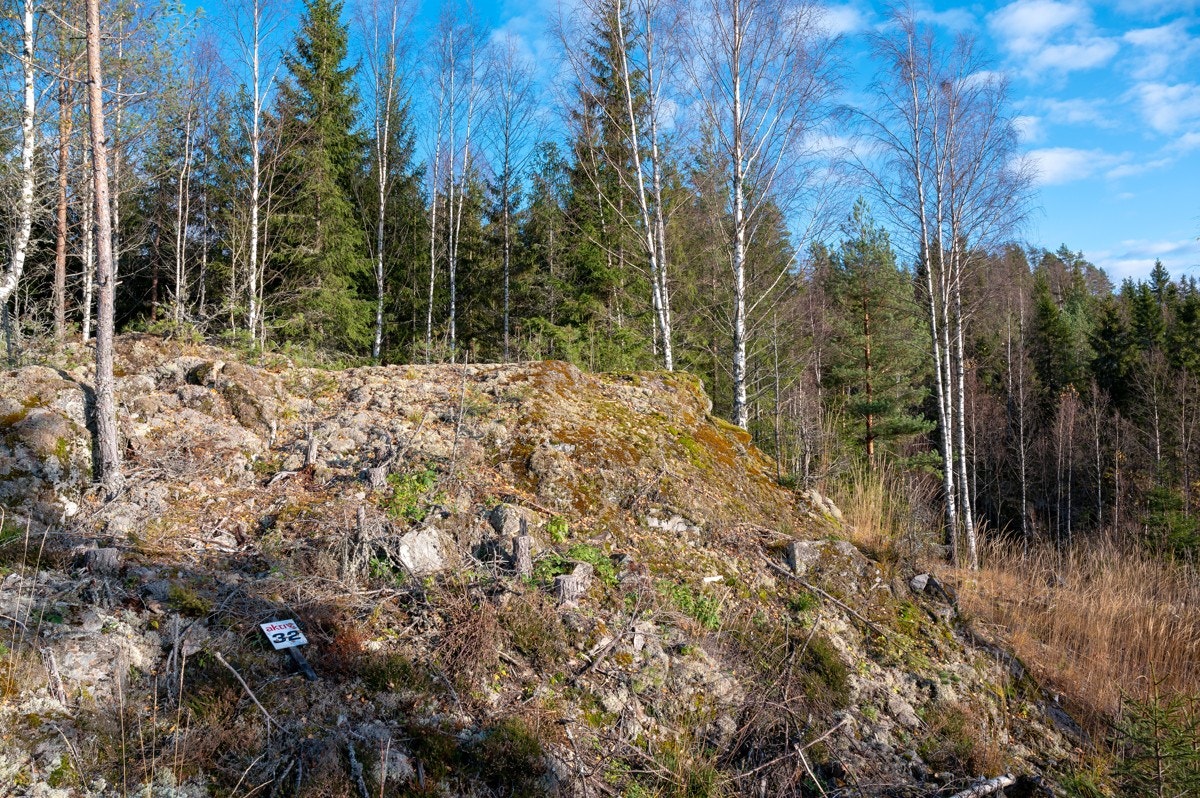 Tomt32-01 Galleribilde