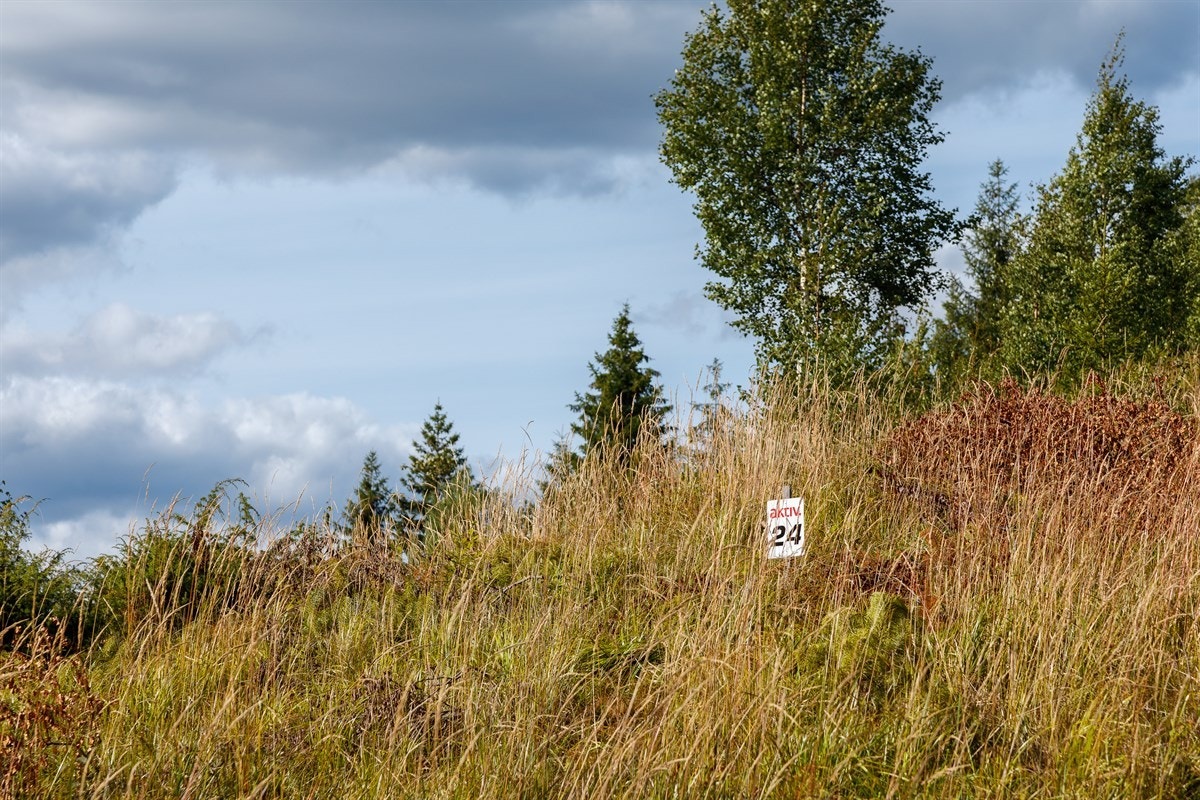 Tomtene har et areal fra 1,8 til 2,8 mål, noe som gir rikelig med boltreplass. Galleribilde