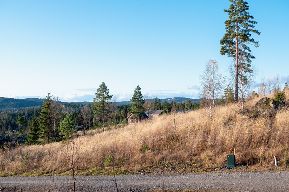 Tomt24-01 Galleribilde