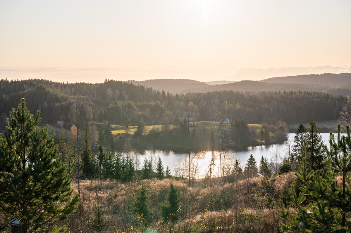 Tomt12-02 Galleribilde