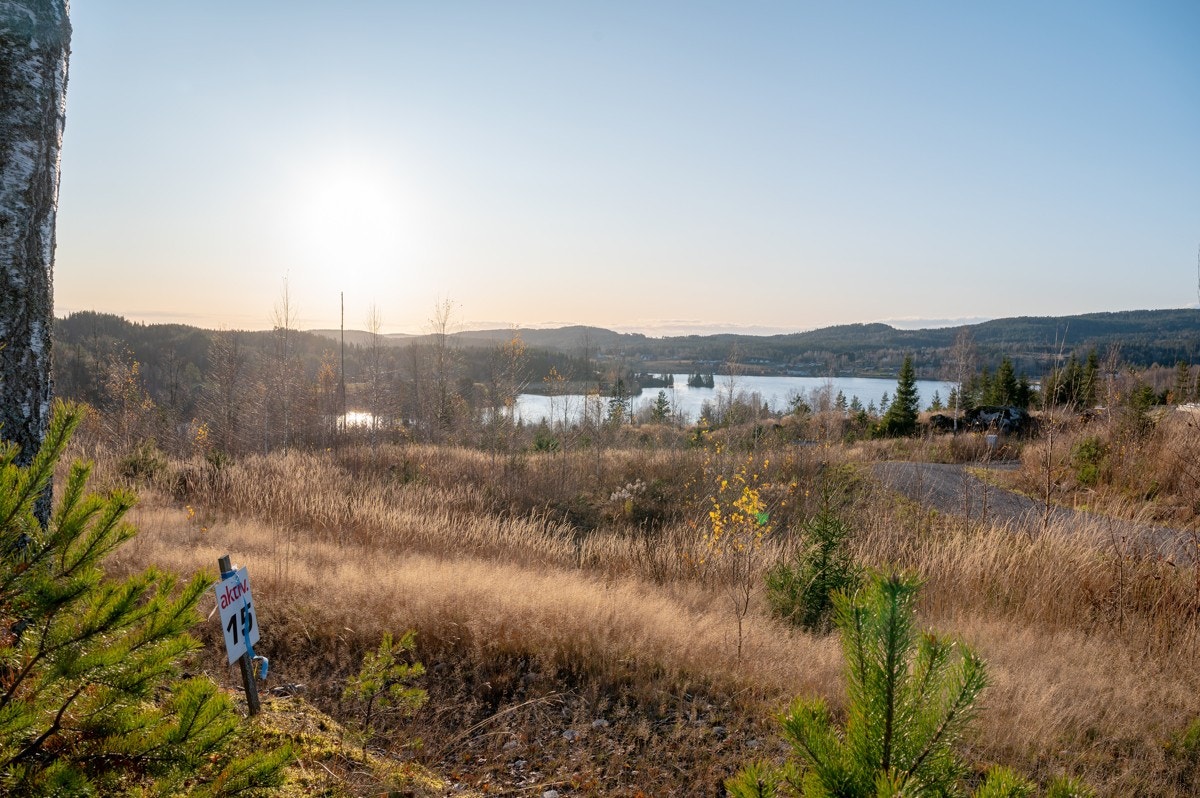 Tomt15-02 Galleribilde