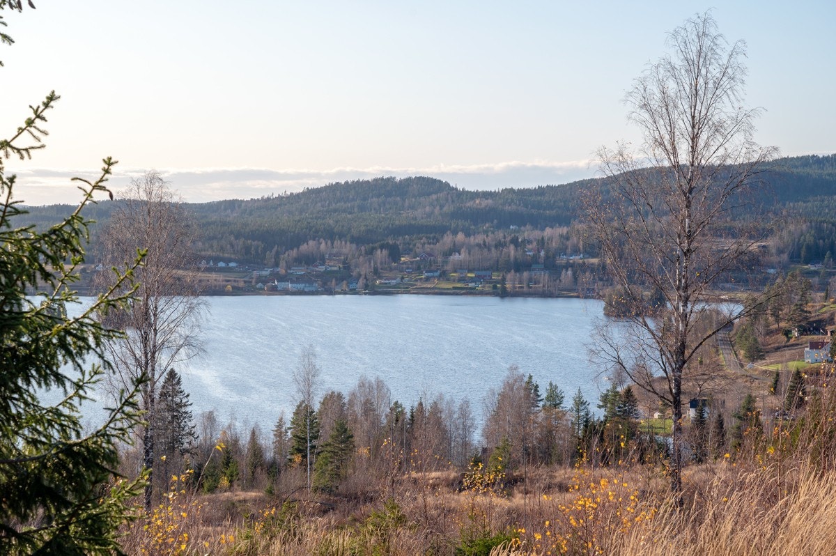 Tomt19-02 Galleribilde