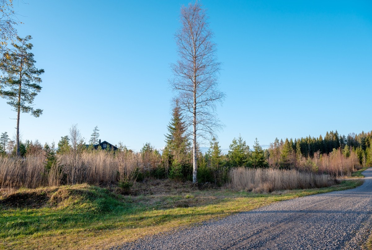 Tomt2-01 Galleribilde