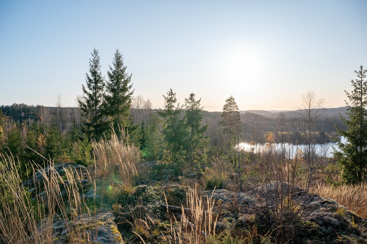 Tomt19-01 Galleribilde