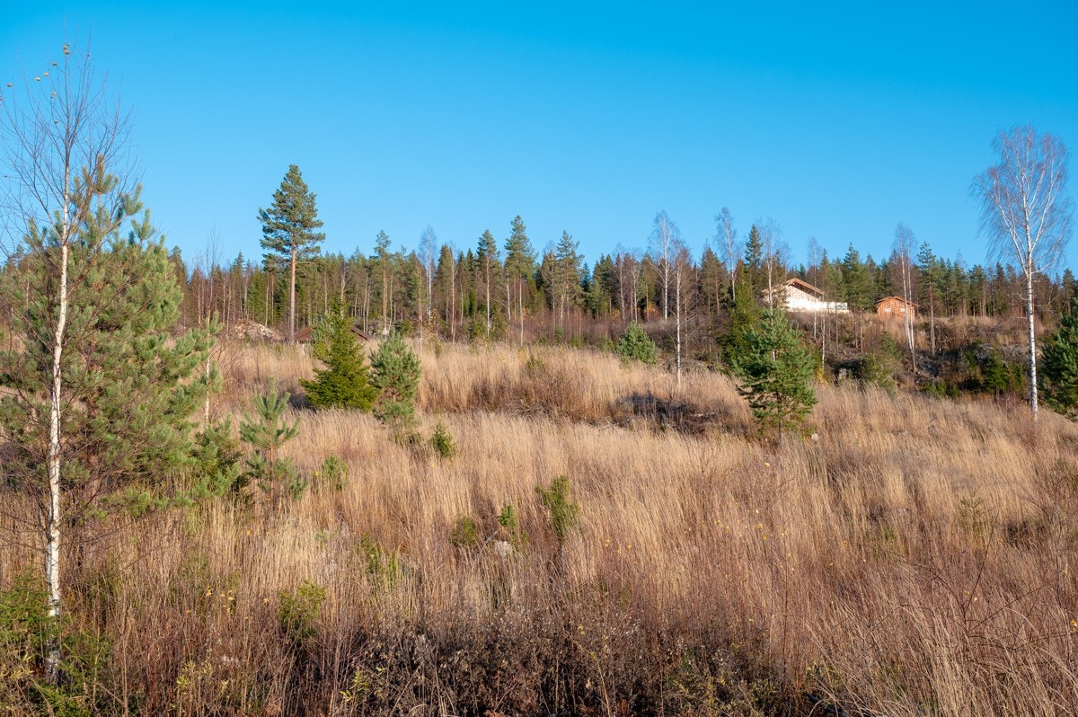 Tomt11-01 Galleribilde