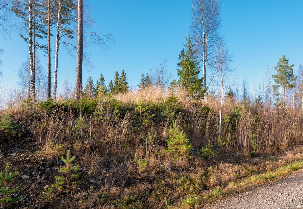 Tomt27-01 Galleribilde