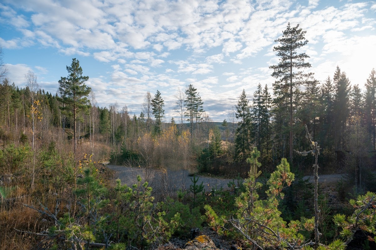 Tomt31-02 Galleribilde