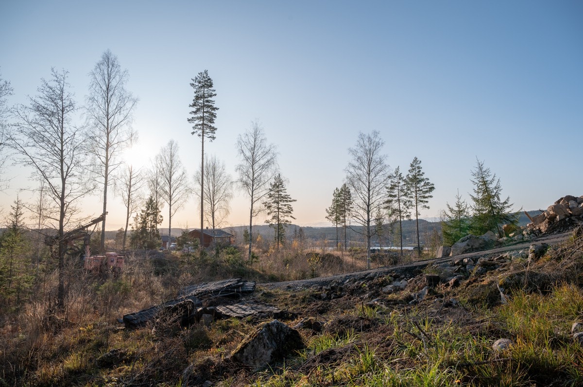 Tomt22-02 Galleribilde