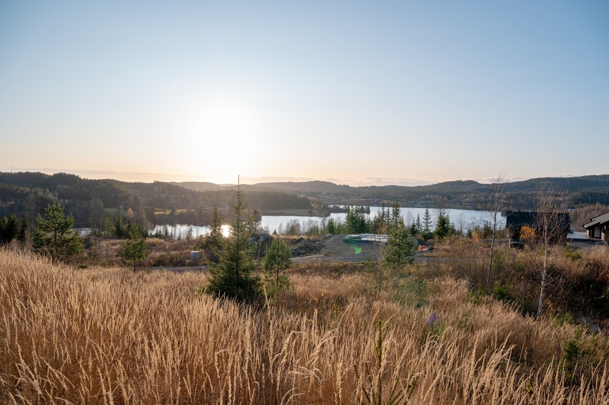 Tomt11-02 Galleribilde