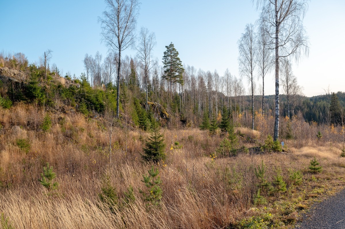 Tomt15-01 Galleribilde