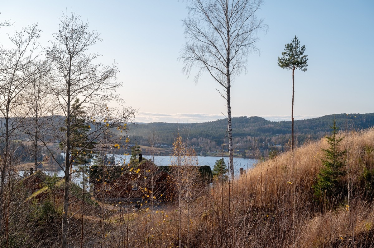 Tomt28-02 Galleribilde