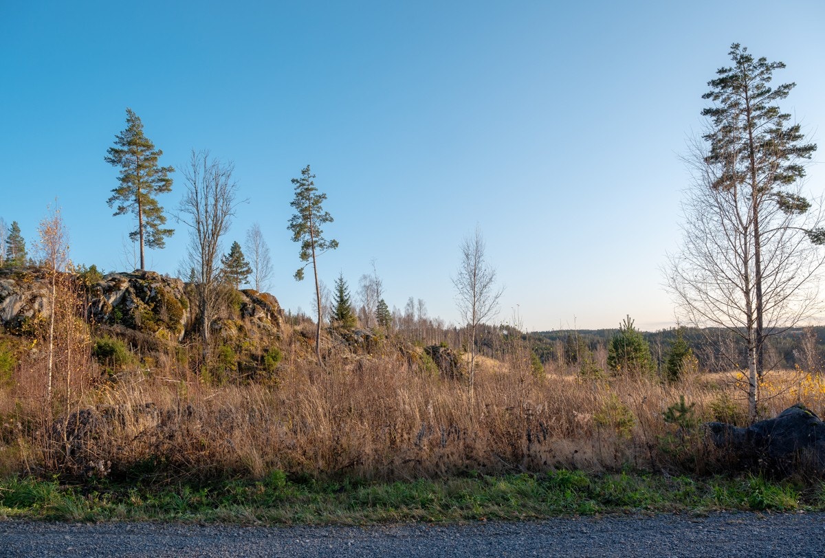 Tomt10-01 Galleribilde