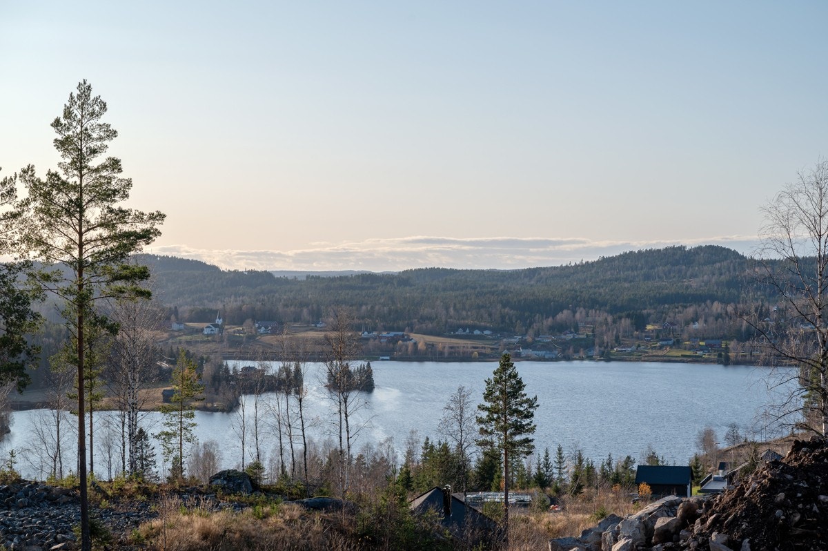 Tomt21-03 Galleribilde