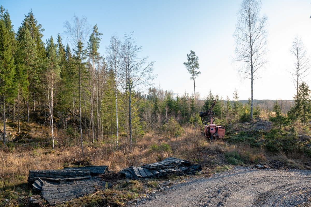 Tomt23-01 Galleribilde