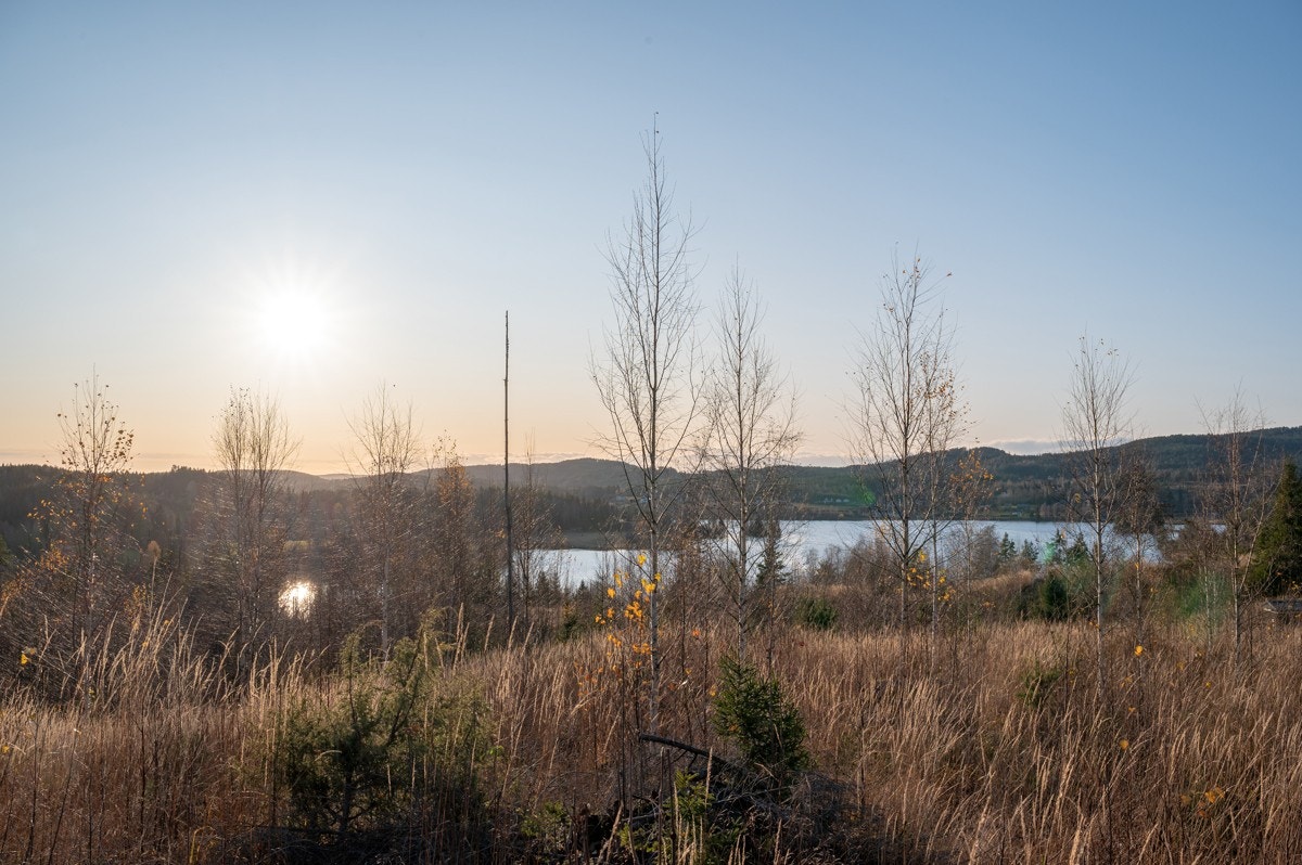 Tomt14-02 Galleribilde