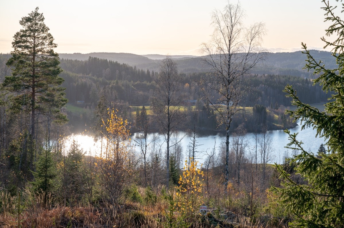 Tomt19-03 Galleribilde