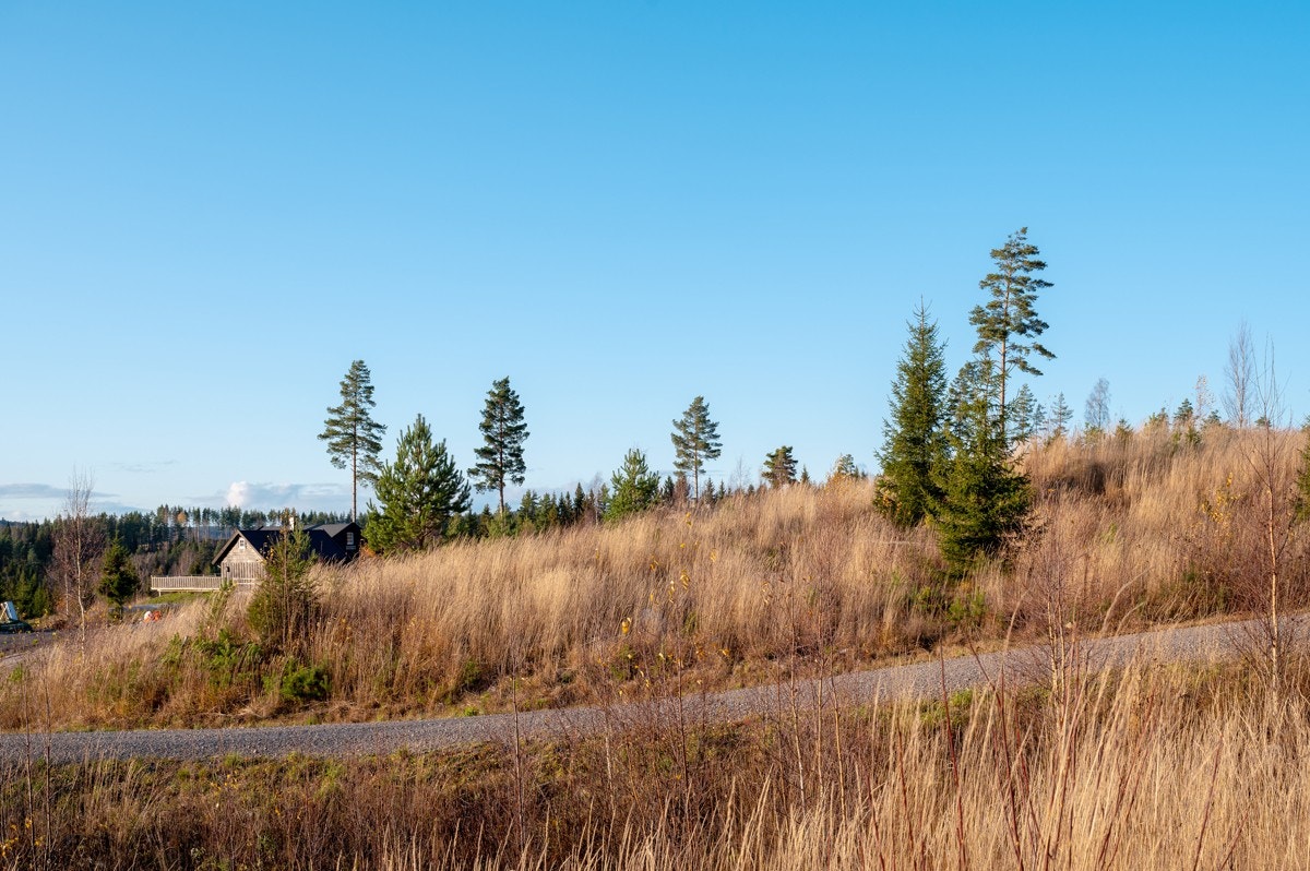 Tomt12-01 Galleribilde